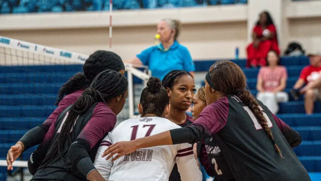 tsu volleyball